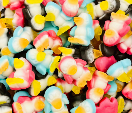 Pingouin Trolli 🐧