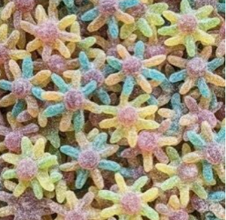 🐙 Octopus Acidulé – Halal ✨