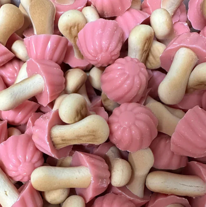 champignon choco fraise x10