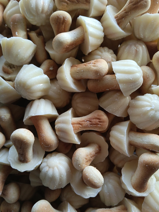 Champignons 🍄 chocolat blanc x10