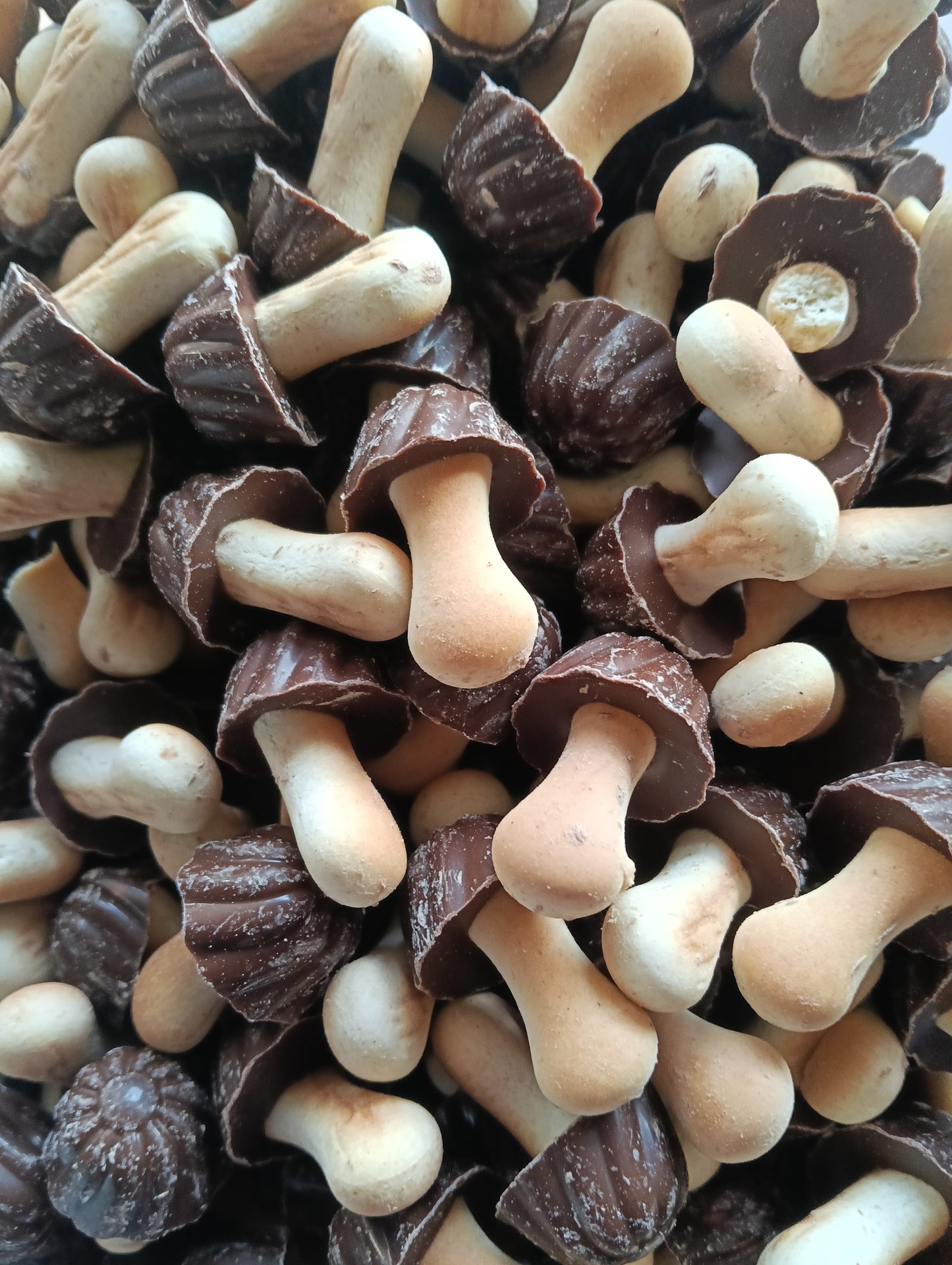 Champignons 🍄 chocolat x10