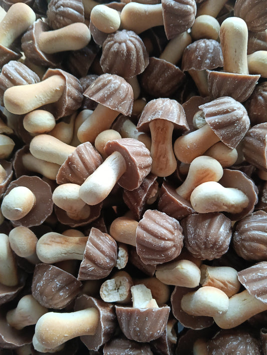 Champignons 🍄 choco/caramel x10