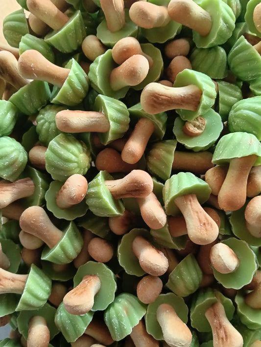 Champignons 🍄 pistache x10
